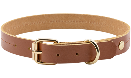 Luxe hondenhalsband van echt leer in zwart/tan, 34-43 cm lang, 2.7 cm breed, met gouden gesp en D-ring voor duurzaamheid.