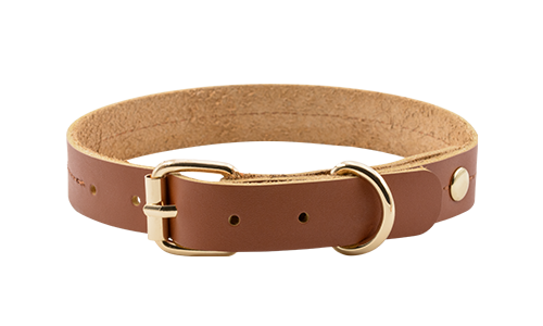 Hoogwaardige Echt Leren Honden Halsband