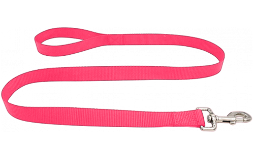 Duurzame roze nylon hondenriem 120 cm, makkelijk te reinigen, met comfortabel lus handvat en zilveren haak.