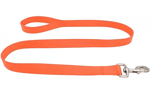 Duurzame oranje nylon hondenriem 120 cm, makkelijk te reinigen, met comfortabel lus handvat en zilveren haak.