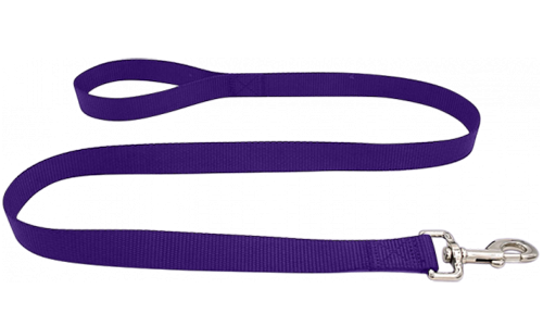 Duurzame paarse nylon hondenriem 120 cm, makkelijk te reinigen, met comfortabel lus handvat en zilveren haak.