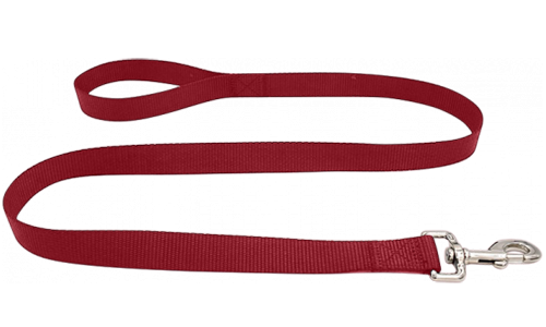 Duurzame rode nylon hondenriem 120 cm, makkelijk te reinigen, met comfortabel lus handvat en zilveren haak.