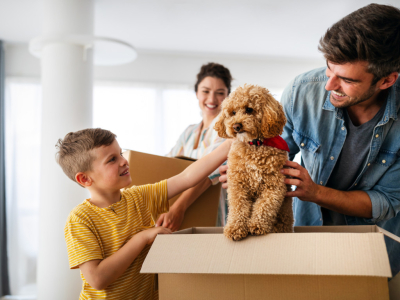 Puppy Checklist: Alle Benodigdheden voor je Nieuwe Puppy in Huis